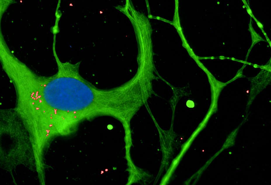 Aptadir secures €40 million seed round for RNA therapies